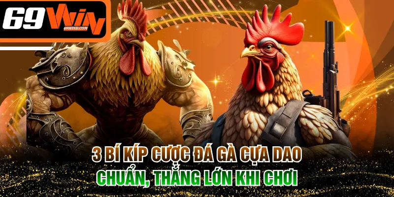 Đá gà cựa dao