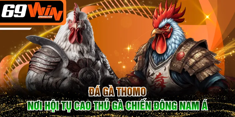 Đá gà Thomo