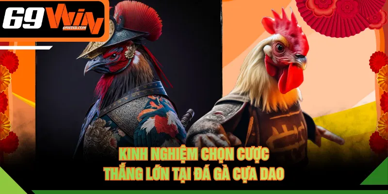 Kinh nghiệm chọn cược thắng lớn tại đá gà cựa dao