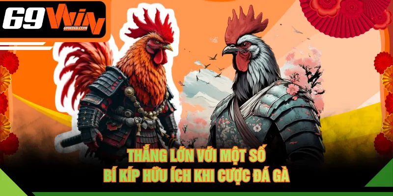 Thắng lớn với một số bí kíp hữu ích khi cược đá gà