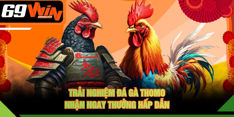 Trải nghiệm đá gà Thomo nhận ngay thưởng hấp dẫn